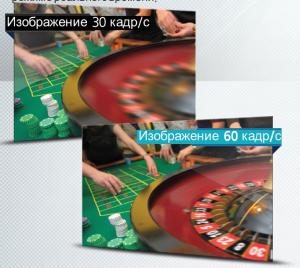 izobrazhenie_30-60.jpg
